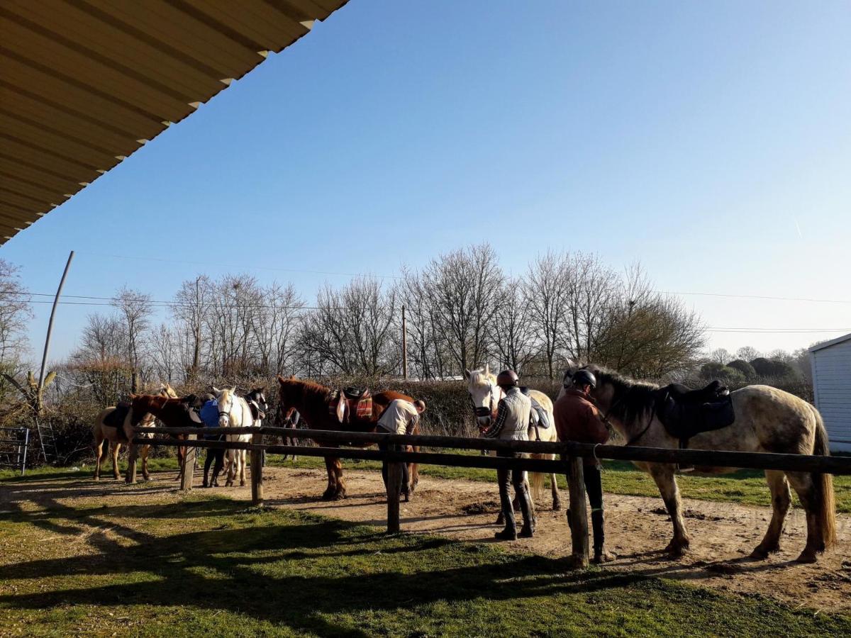 La Chapelle-pres-Sees La Ferme Des Tertres B&B 외부 사진