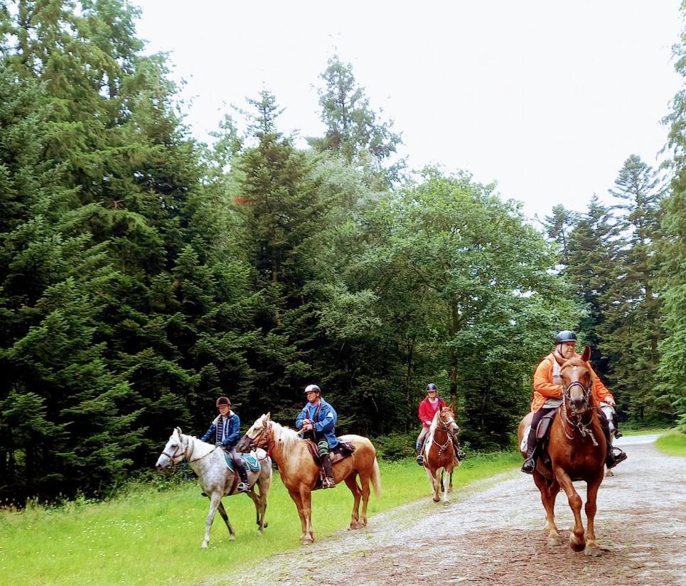 La Chapelle-pres-Sees La Ferme Des Tertres B&B 외부 사진